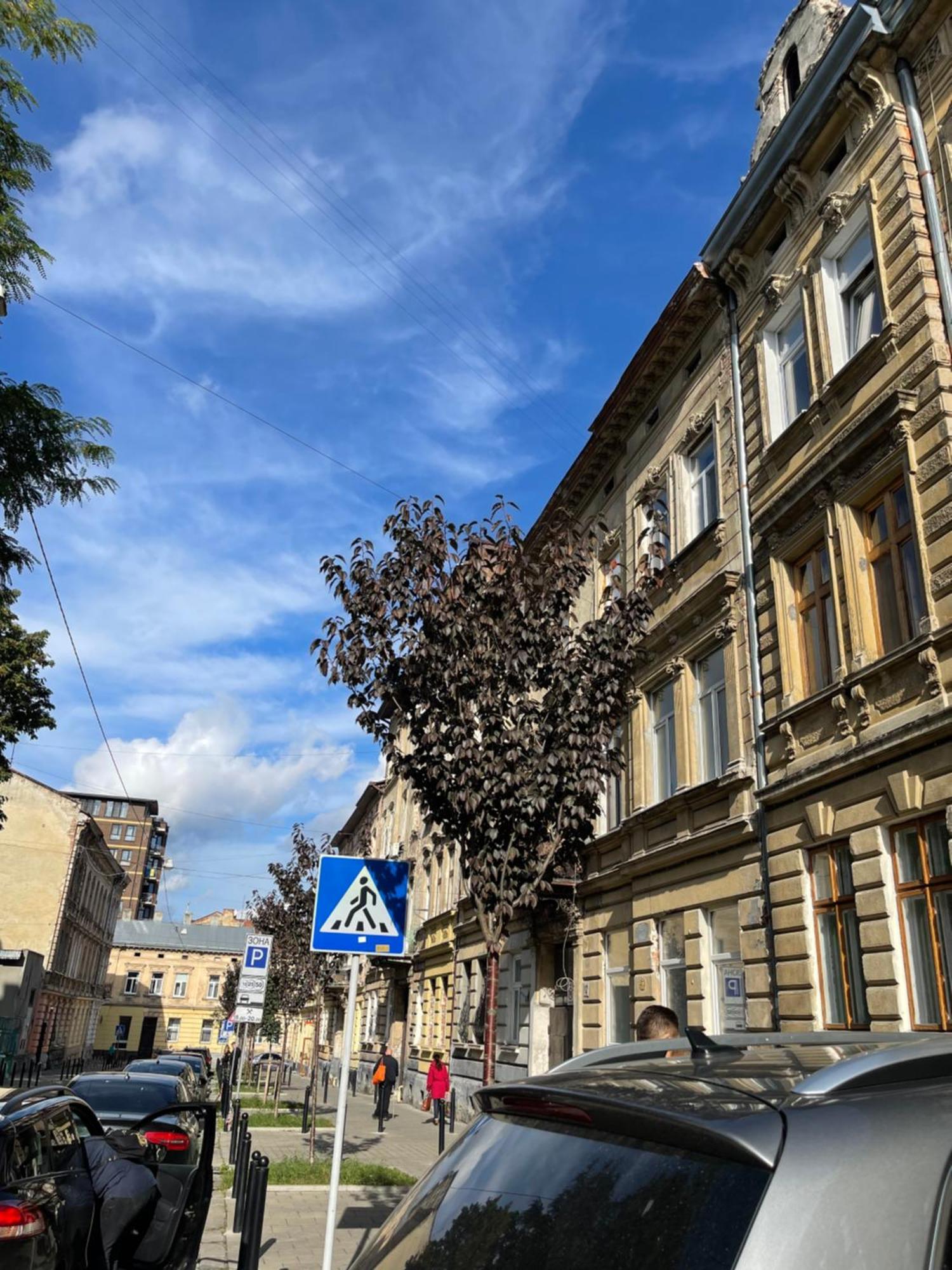 Vintage Apartment Kotlyarska10 Lwów Zewnętrze zdjęcie
